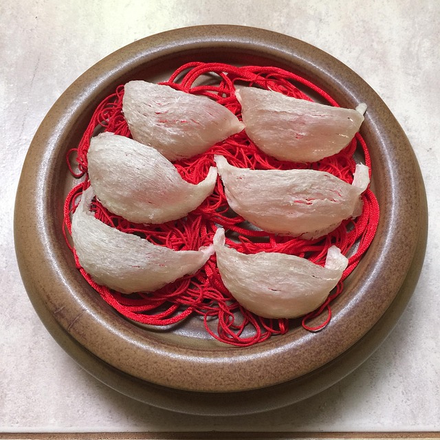 Bird’s nest soup served in a porcelain bowl — traditional Asian beauty food believed to support glowing skin and hydration.